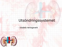/album/a6-utsondringssystemet/a6-utso%cc%88ndringsorganen-001-jpeg/